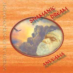 Spiritual Environment - Shamanic Dream